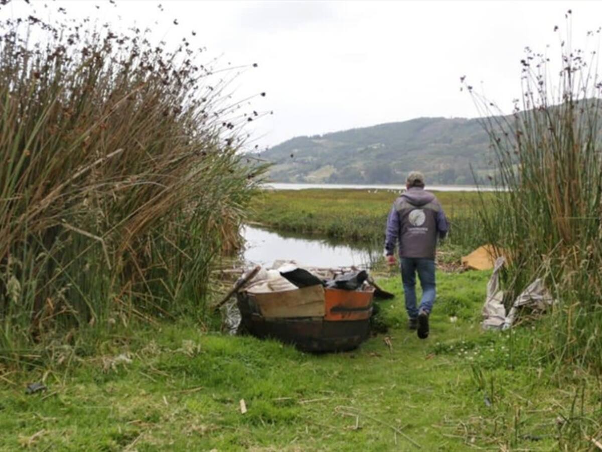Monitorean especie invasora en tres municipios de influencia del Lago de Tota