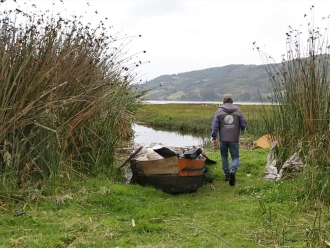 La autoridad ambiental recomendó a los habitantes no emplear la especie como mascotas porque pueden escaparse y colonizar nuevas áreas.. Foto: Corpoboyacá