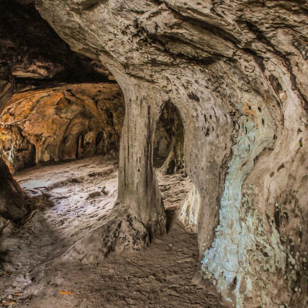 Guaviare, creando oportunidades a través del turismo comunitario