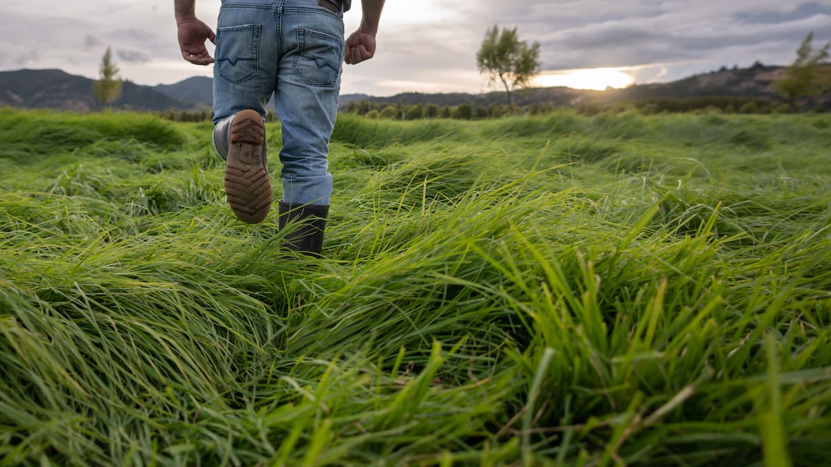 Conclusiones positivas al finalizar la primera mesa de diálogo sobre la reforma agraria