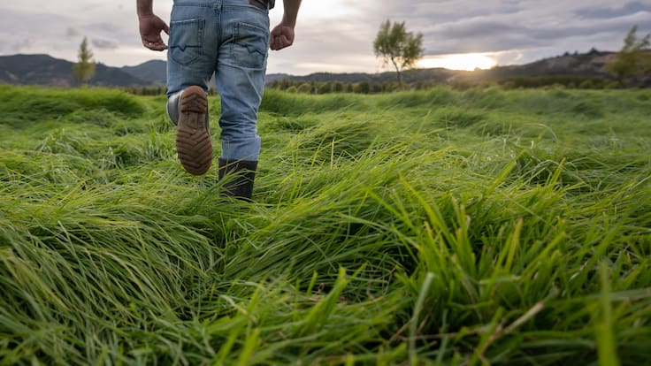 Contraloría trasladará a la Procuraduría caso de compra de Finca ‘La Grosería’ por parte de la ANT