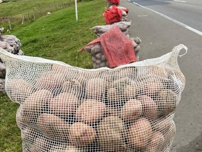 Minagricultura recordó que en estos momentos está en marcha un Incentivo a la Comercialización de Papa por 30.000 millones de pesos. Foto: Redacción W Radio