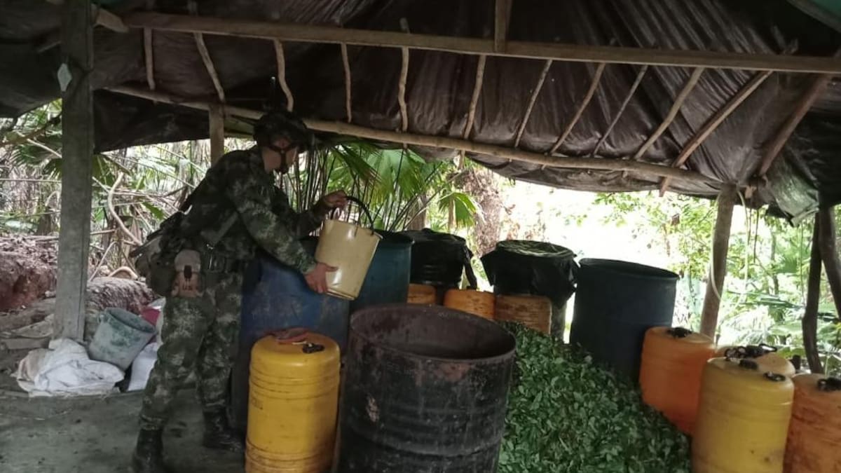 Ejército destruyó laboratorio de pasta base de coca en Puerto Libertador, Córdoba