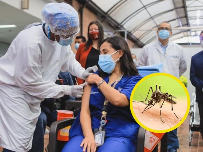 Secretario de Salud de Bogotá habla sobre la alerta de fiebre amarilla en Colombia