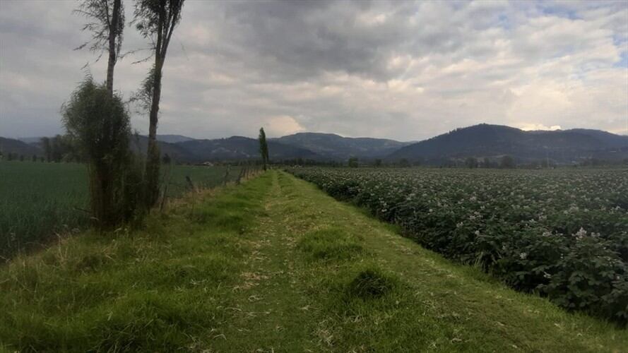 Los productos agrícolas también se están llevando a diferentes municipios del departamento de Boyacá, así como a Cundinamarca y Santander. Foto: La W