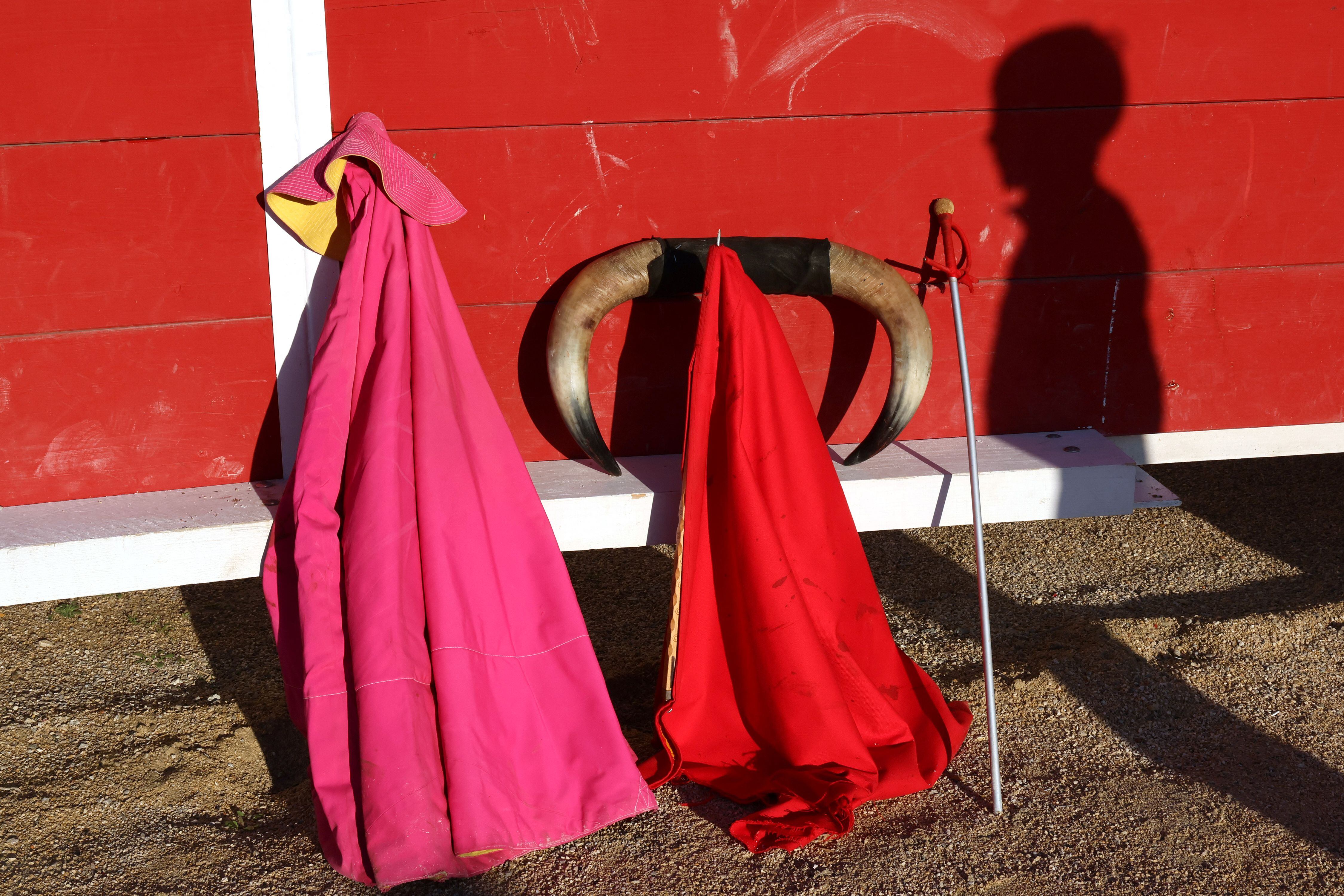 El presidente Gustavo Petro solicitó a todos los alcaldes del país la suspensión de cualquier acto en donde pueda existir maltrato contra los animales.