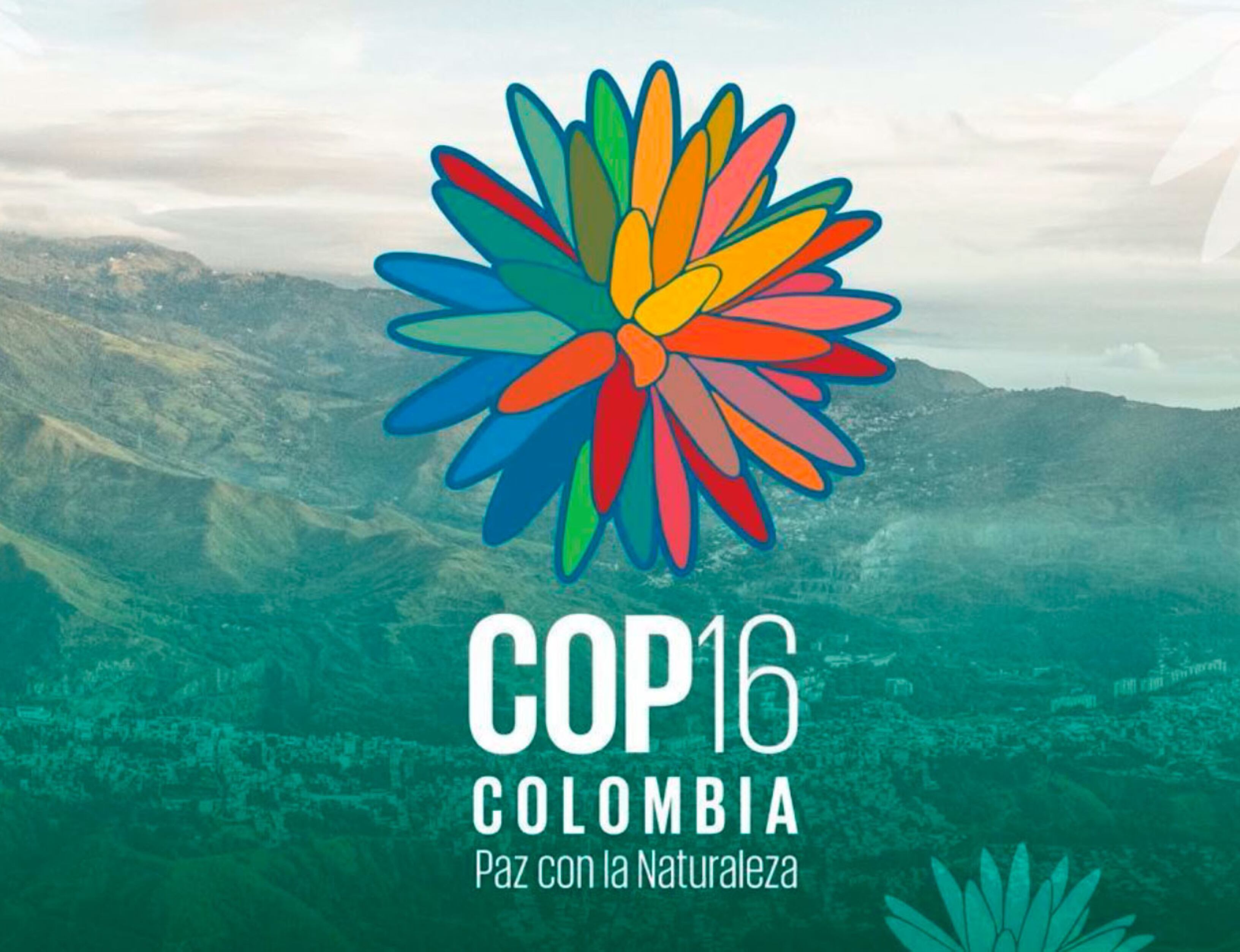 COP16 | Foto: Cortesía