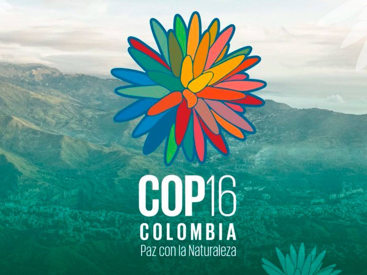 ¿Cuándo es la COP16?