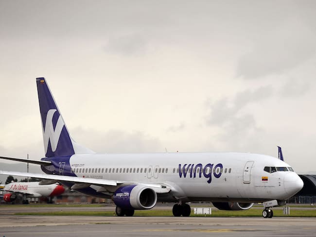 Wingo. (Photo by DANIEL MUNOZ / AFP) (Photo by DANIEL MUNOZ/AFP via Getty Images)