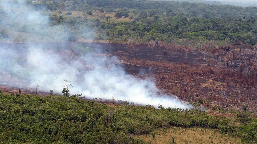 Deforestación en el Parque Nacional Natural Tinigua . Foto: Colprensa-externo