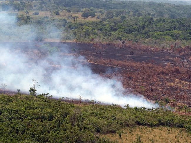 Deforestación en el Parque Nacional Natural Tinigua . Foto: Colprensa-externo