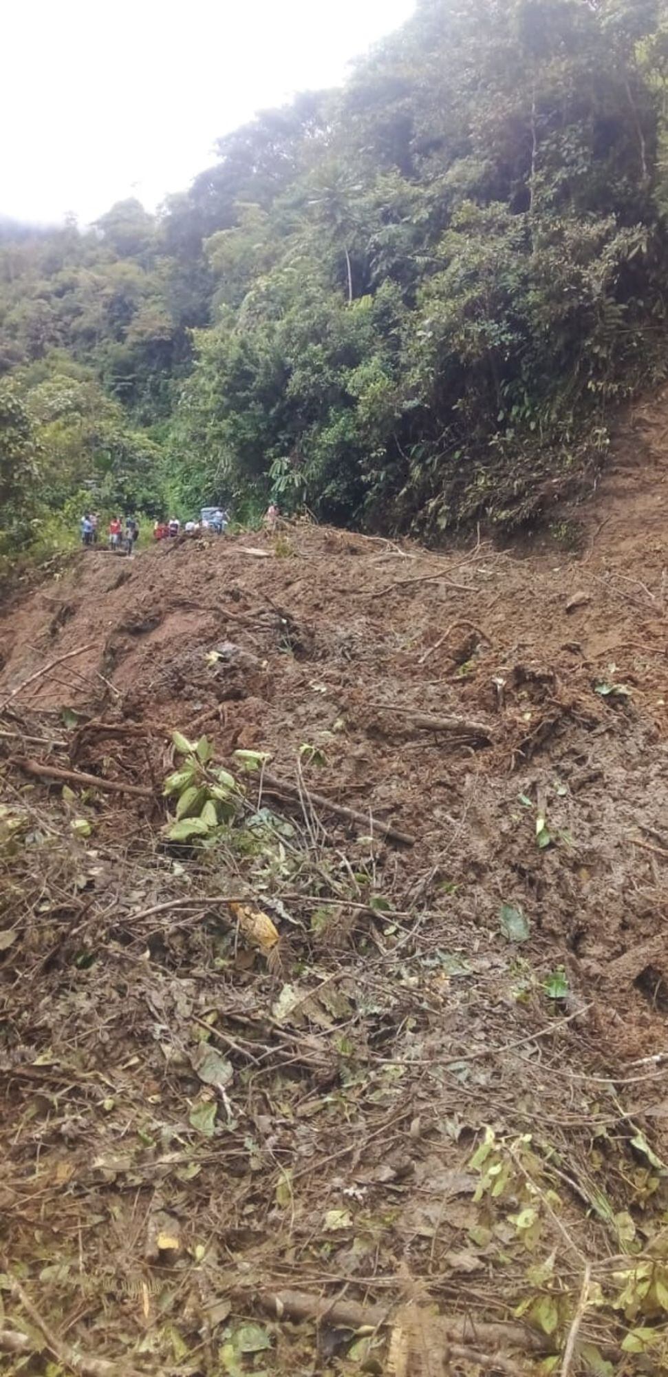 Los organismos de socorro rescataron el cuerpo de la víctima y se encuentran adelantado labores de búsqueda en la zona. Foto: Cortesía.