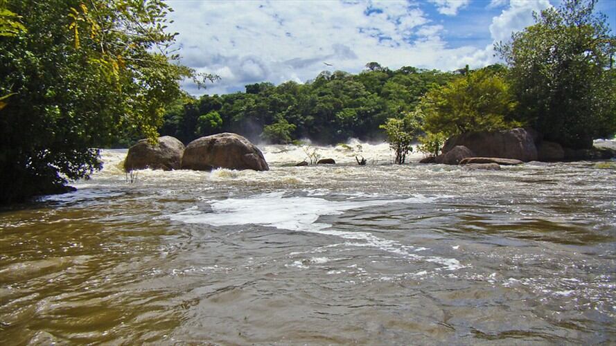 La información la dio a conocer el coronel Carlos Carmona, comandante de Policía del Vaupés. Foto: Colprensa
