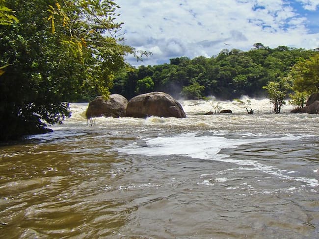 La información la dio a conocer el coronel Carlos Carmona, comandante de Policía del Vaupés. Foto: Colprensa