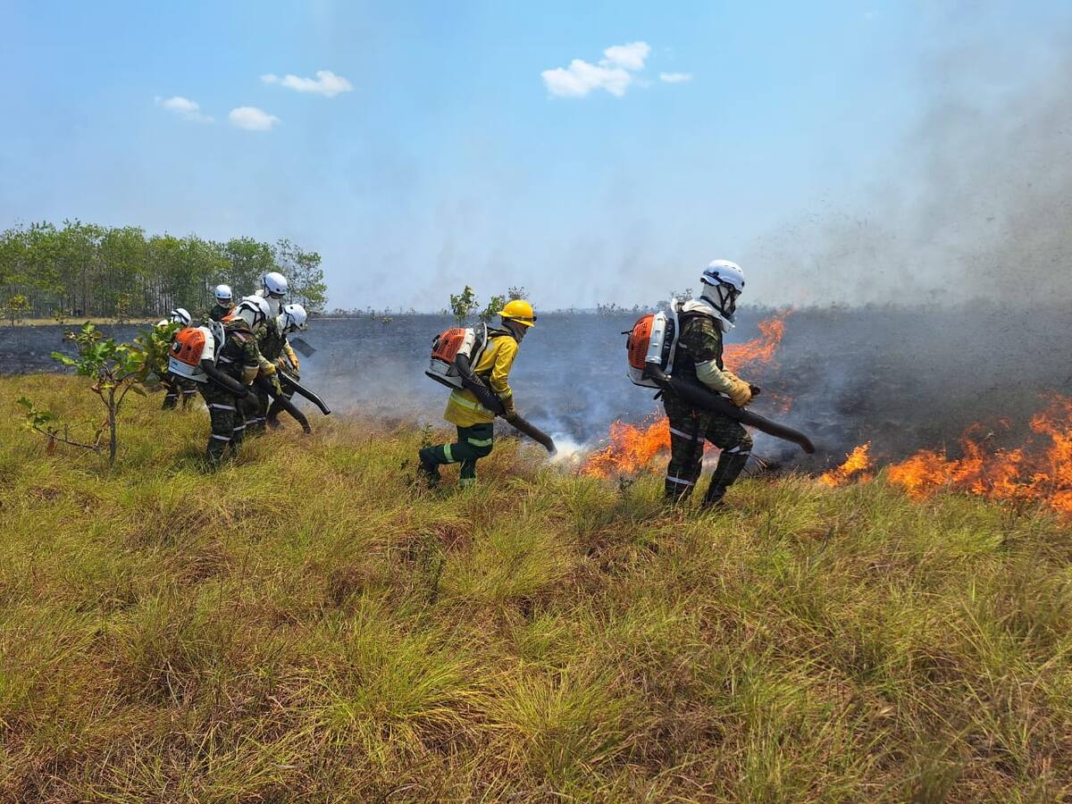 Ejército sobre incendio en Vichada: “no hemos podido determinar las causas”
