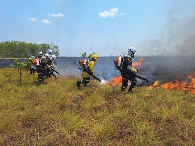 Ejército sobre incendio en Vichada: “no hemos podido determinar las causas”
