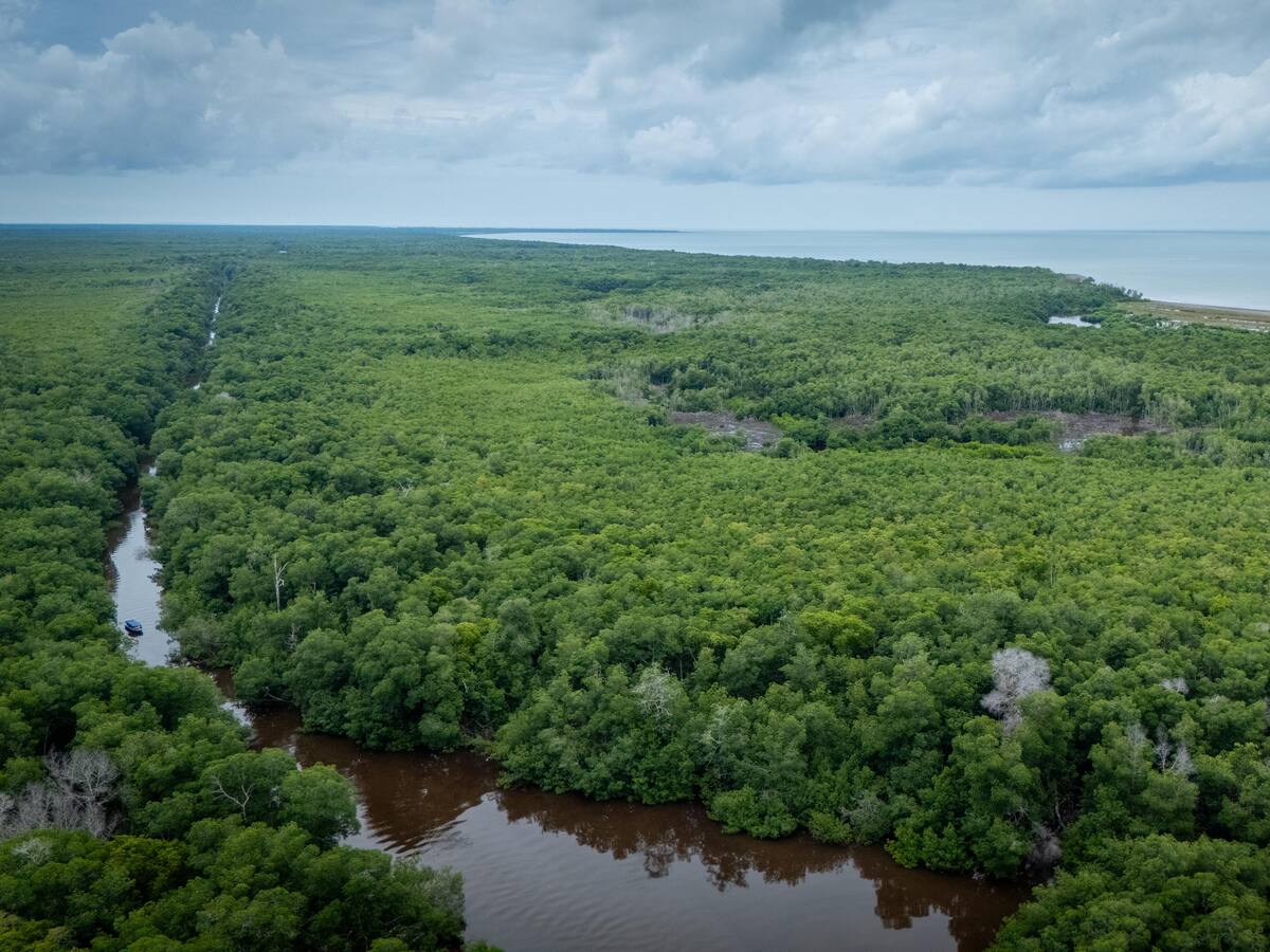 COP16: esto será lo que Córdoba mostrará en el evento más importante de biodiversidad