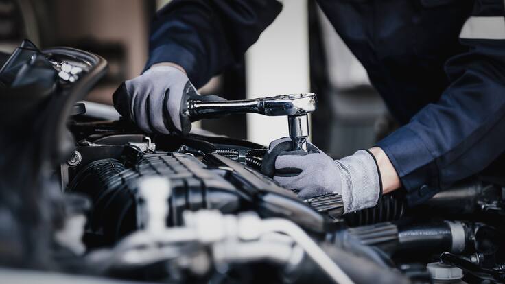 “Es un orangután”: presidente de la Aso-CDA sobre polémico nuevo seguro