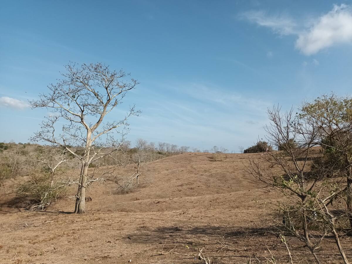 Alertan por temporada seca en Córdoba: piden especial atención en la zona costanera