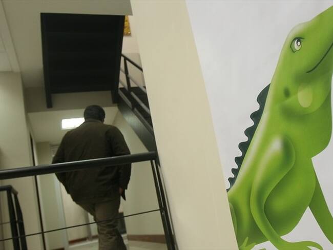 Imagen de referencia. Foto: Colprensa