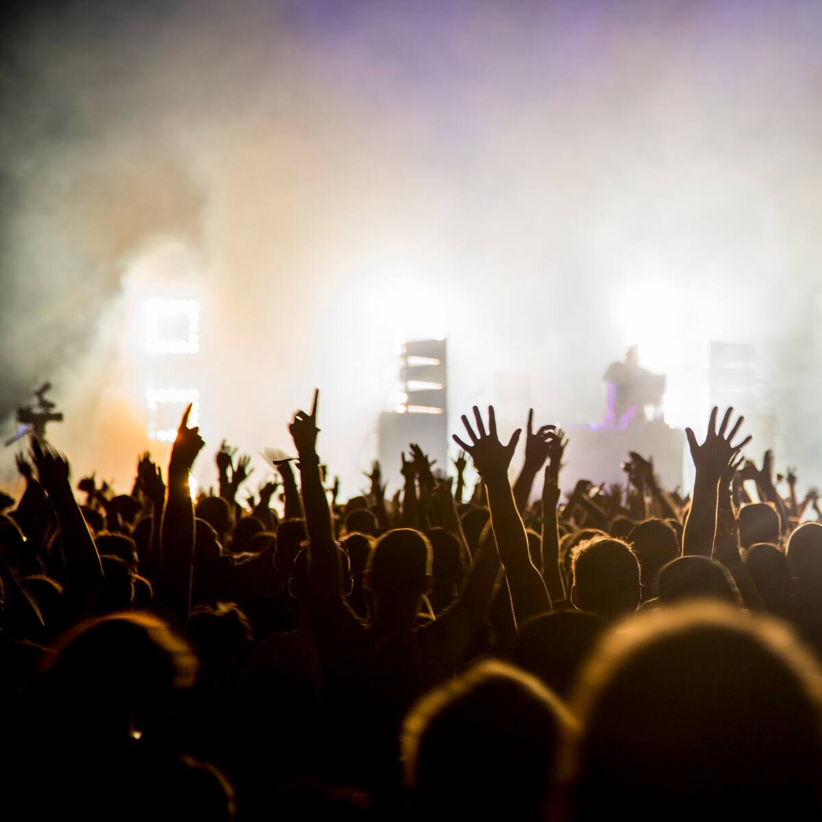 Cancelaron el Nexus Fest en Chía tras un accidente mortal