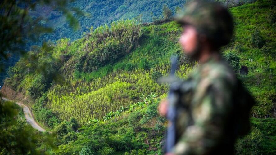 Siete miembro del Clan del Golfo fueron abatidos por el Ejército en Antioquia. Foto: Getty Images / RAÚL ARBOLEDA