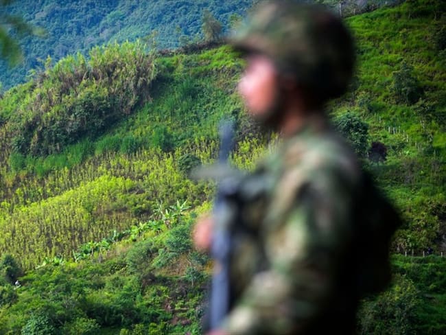 Siete miembro del Clan del Golfo fueron abatidos por el Ejército en Antioquia. Foto: Getty Images / RAÚL ARBOLEDA