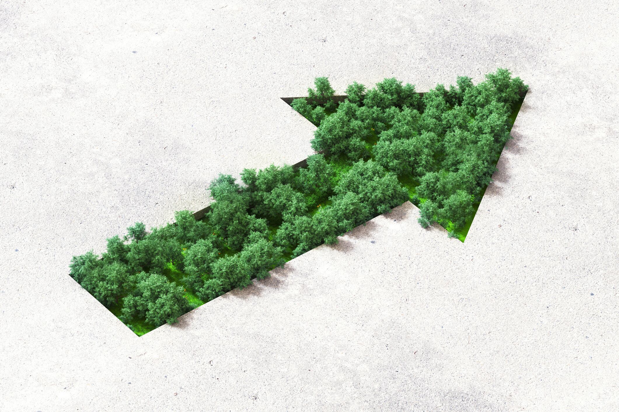 Cambio imagen de referencia. Foto: Getty Images.