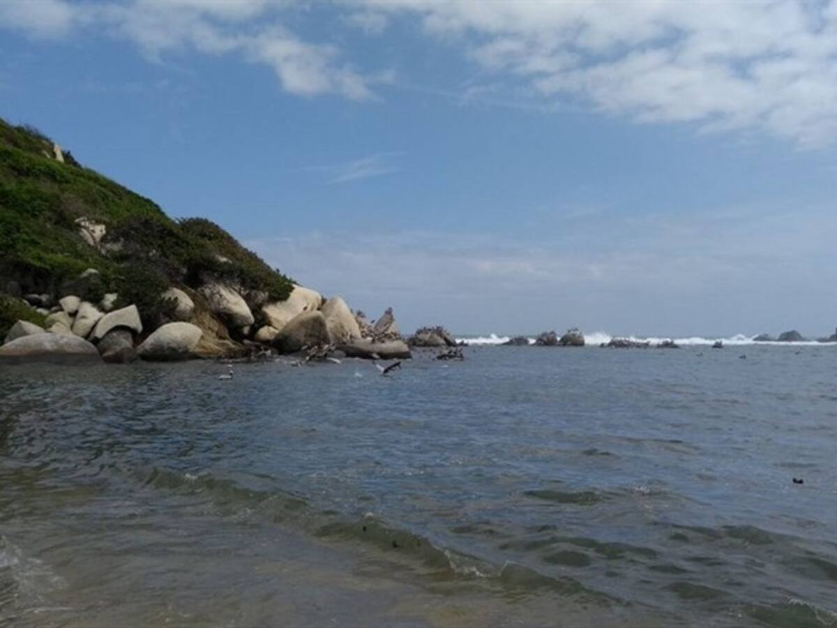 Durante un mes estará cerrado el Parque Tayrona