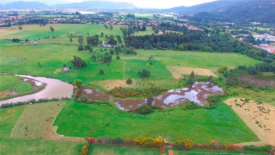 Reserva Thomas Van Der Hammen. Foto: Cortesía CAR