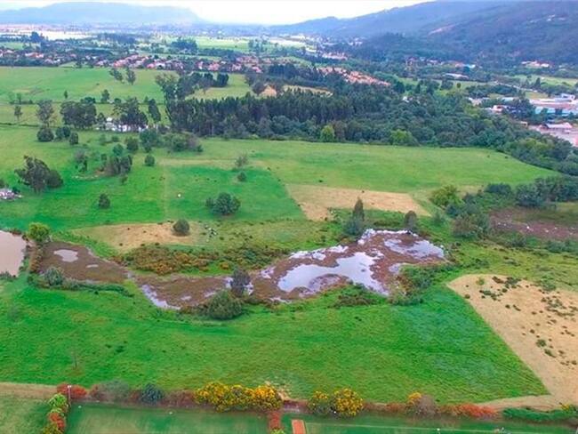 Reserva Thomas Van Der Hammen. Foto: Cortesía CAR