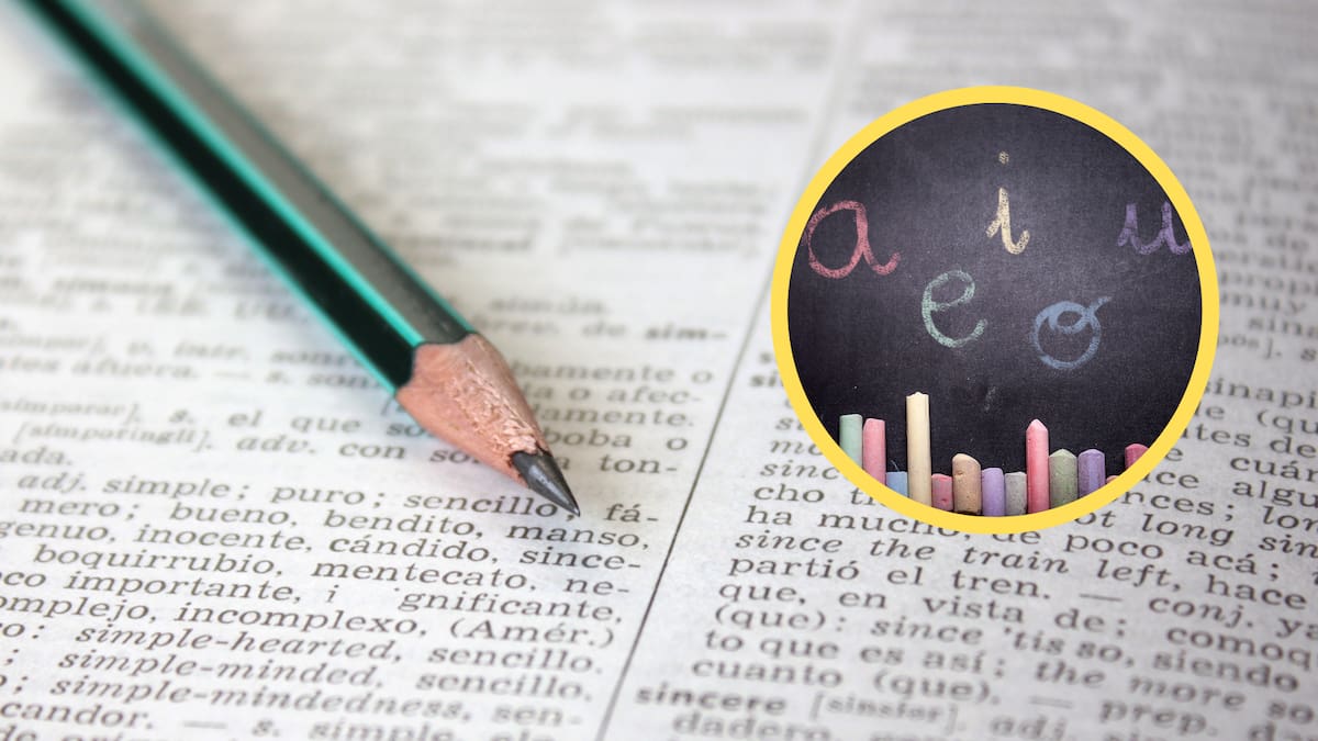 3 palabras cortas que tienen las 5 vocales: todas empiezan y terminan igual, ¿qué significan?