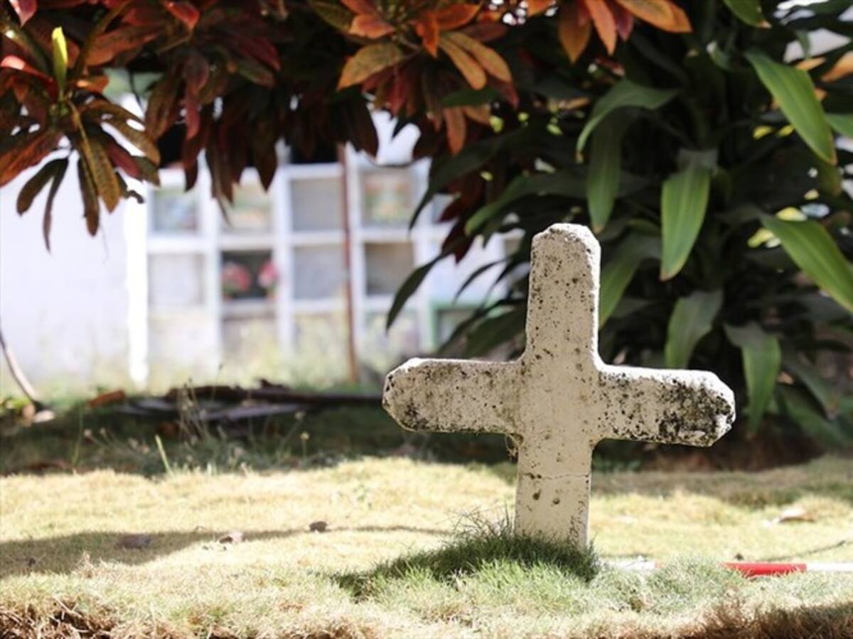 Identifican a las víctimas de la masacre en El Tambo, Cauca