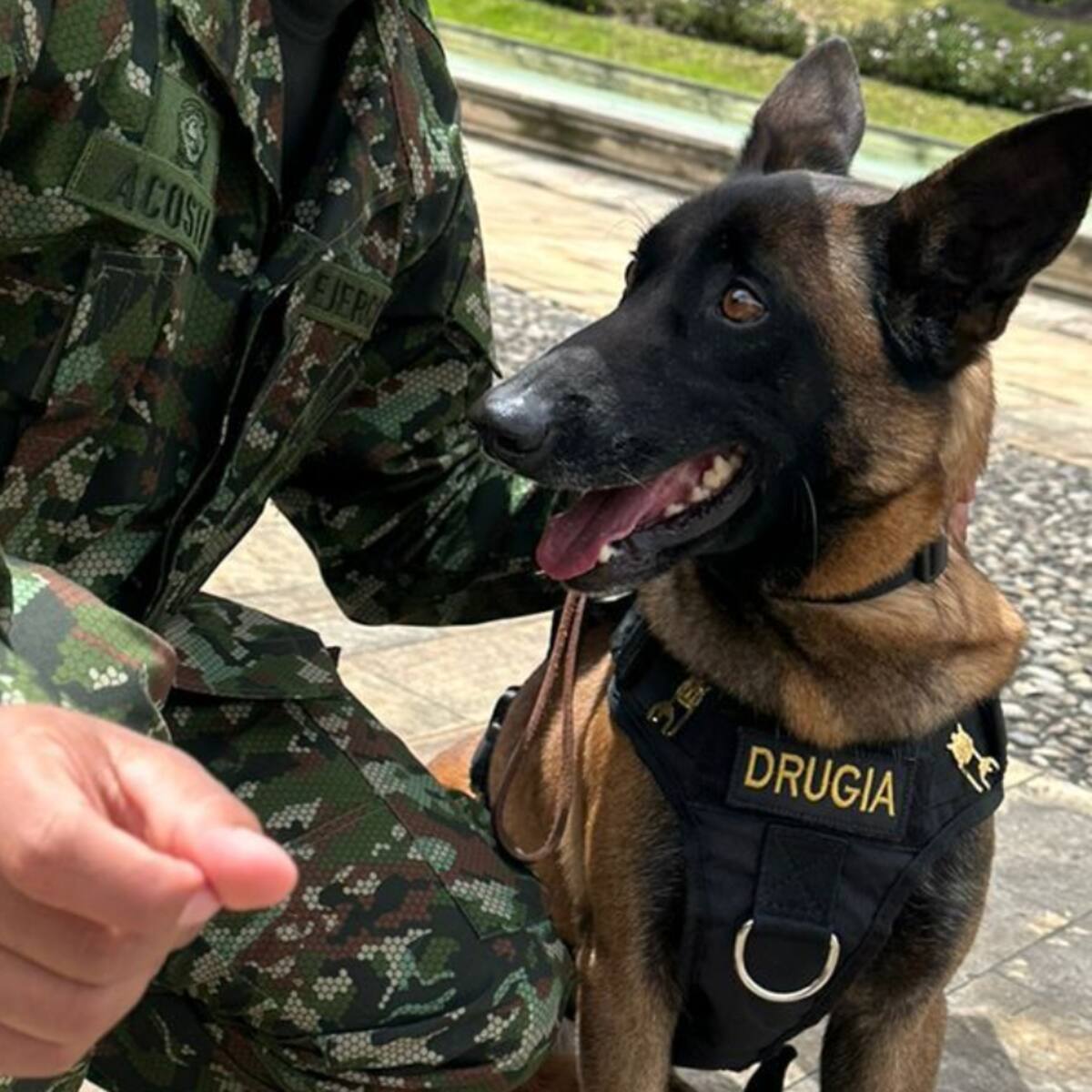 Drugia, mamá de Wilson, recibió medalla por la labor de su hijo en ‘Operación Esperanza’