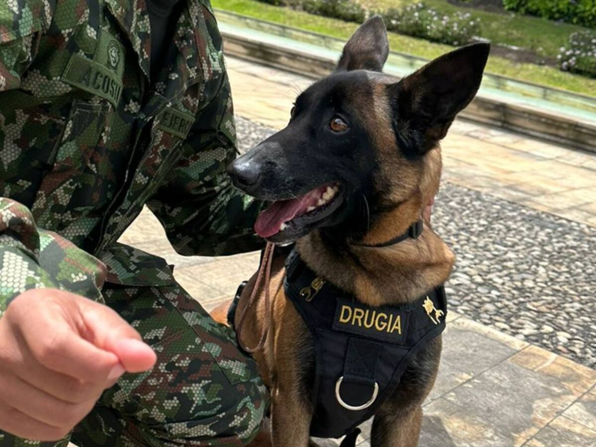 Drugia, mamá de Wilson, recibió medalla por la labor de su hijo en ‘Operación Esperanza’