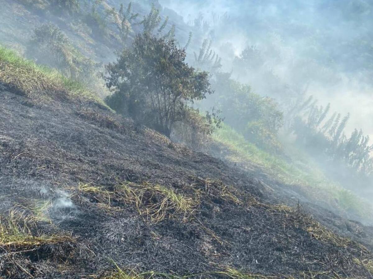Incendio forestal afectó más de tres hectáreas de tierra en Aránzazu, Caldas