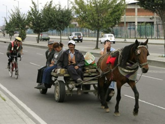 Alcalde Petro firmó decreto para iniciar proceso de salida de vehículos de tracción animal