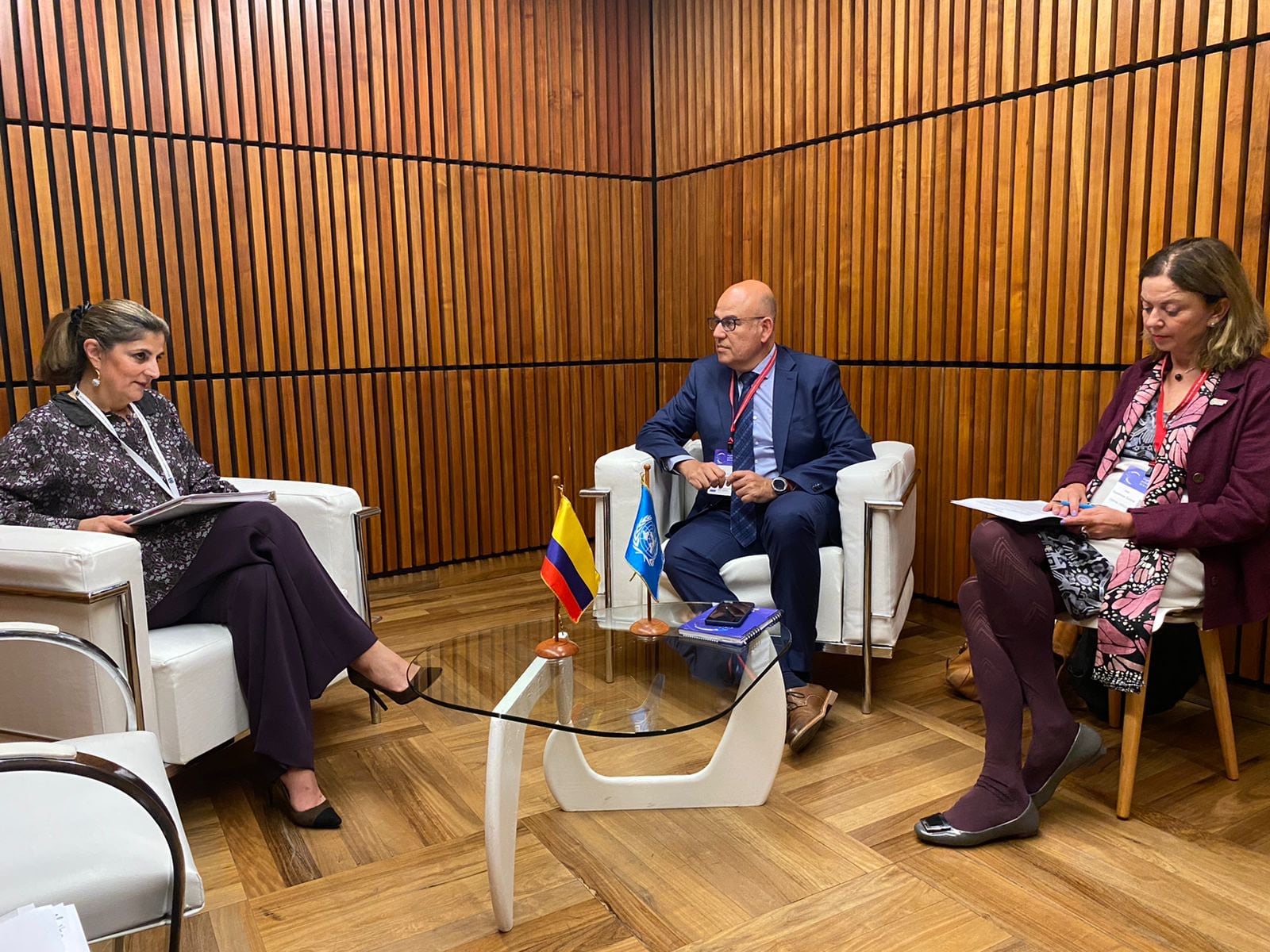 Colombia ante la Cepal. Foto: Cancillería.