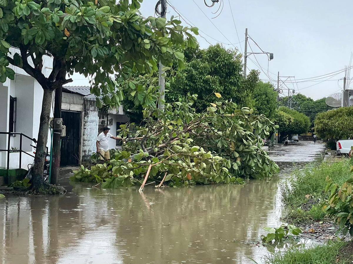 Fuertes lluvias afectan infraestructura eléctrica en doce municipios de Córdoba