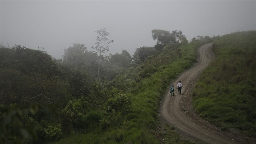 El alcalde del municipio aseguró que están en capacidad de atender este tipo de problemáticas. Foto: Colprensa