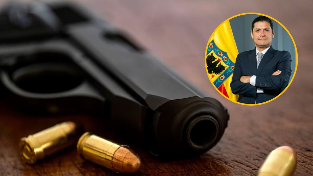 Bogotá pide a MinDefensa que se haga línea base de información de armas ilegales en el país