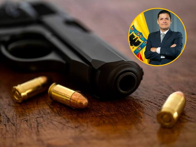 Bogotá pide a MinDefensa que se haga línea base de información de armas ilegales en el país