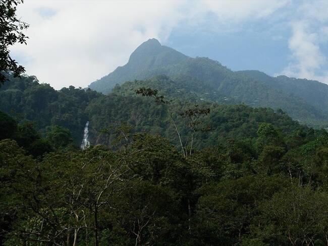 Farallones de Cali, en peligro: denuncian que minería ilegal amenaza suministro de agua