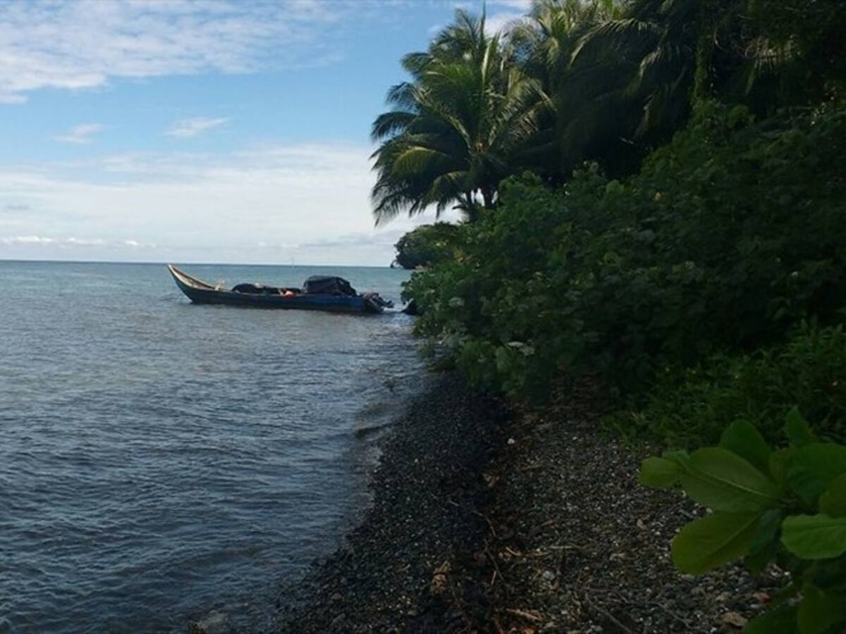 Interponen acción popular para detener instalación de muelle en Isla Gorgona