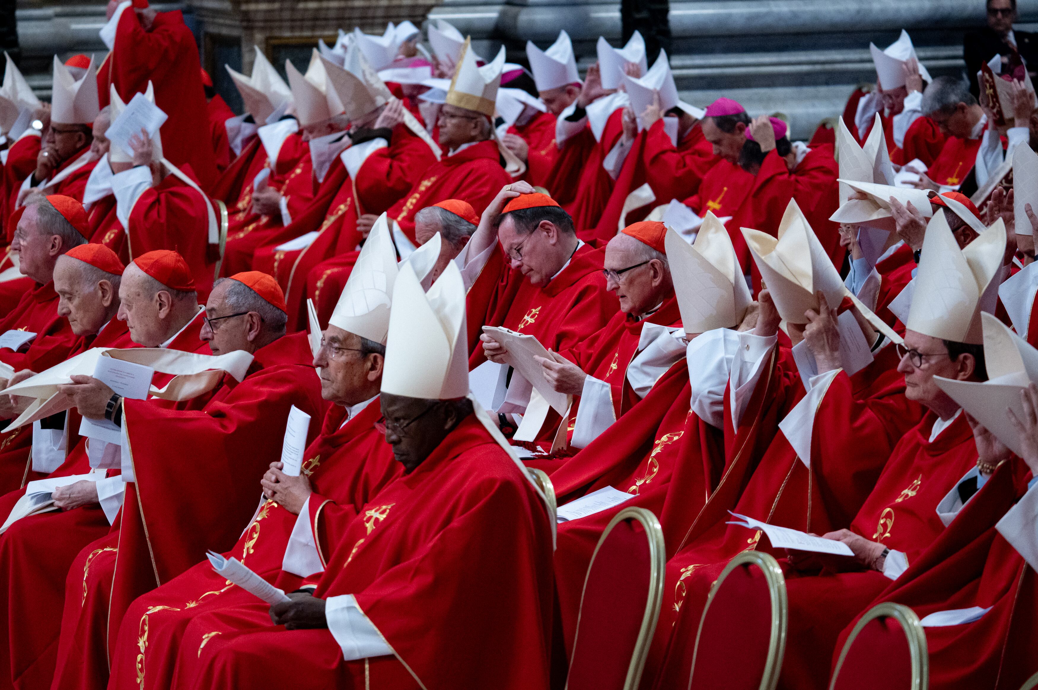 Cardenales. Foto: Massimo Valicchia/NurPhoto via Getty Images.