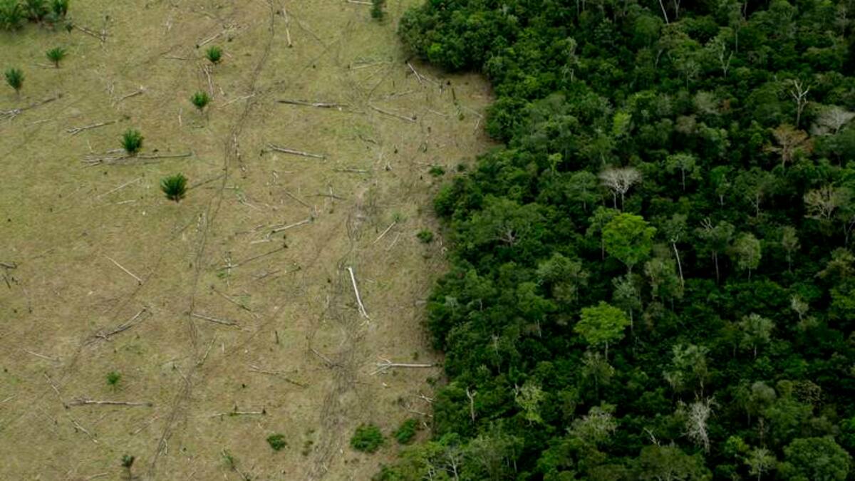 Director de Planeación Nacional alertó graves problemas de ordenamiento en todo el país