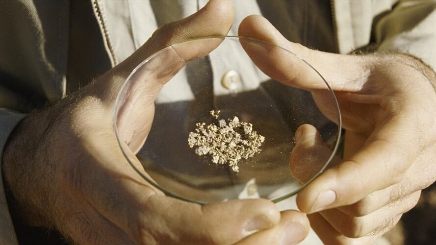 La Alcaldía de Jericó emitió un acta de imposición preventiva para suspender las actividades mineras de Anglo Gold Ashanti. Foto: Getty Images