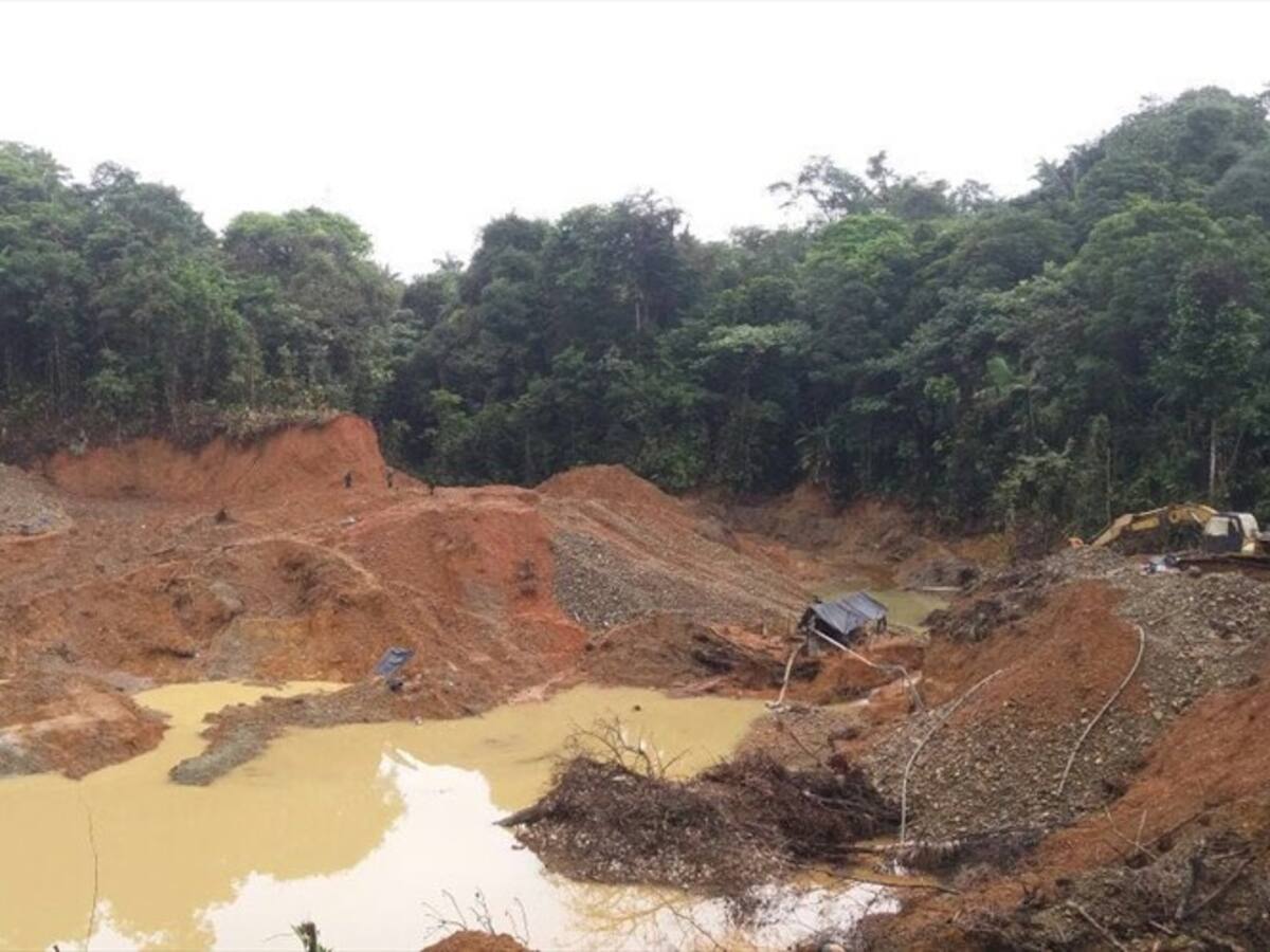 ¿Qué pasó con La Colosa?