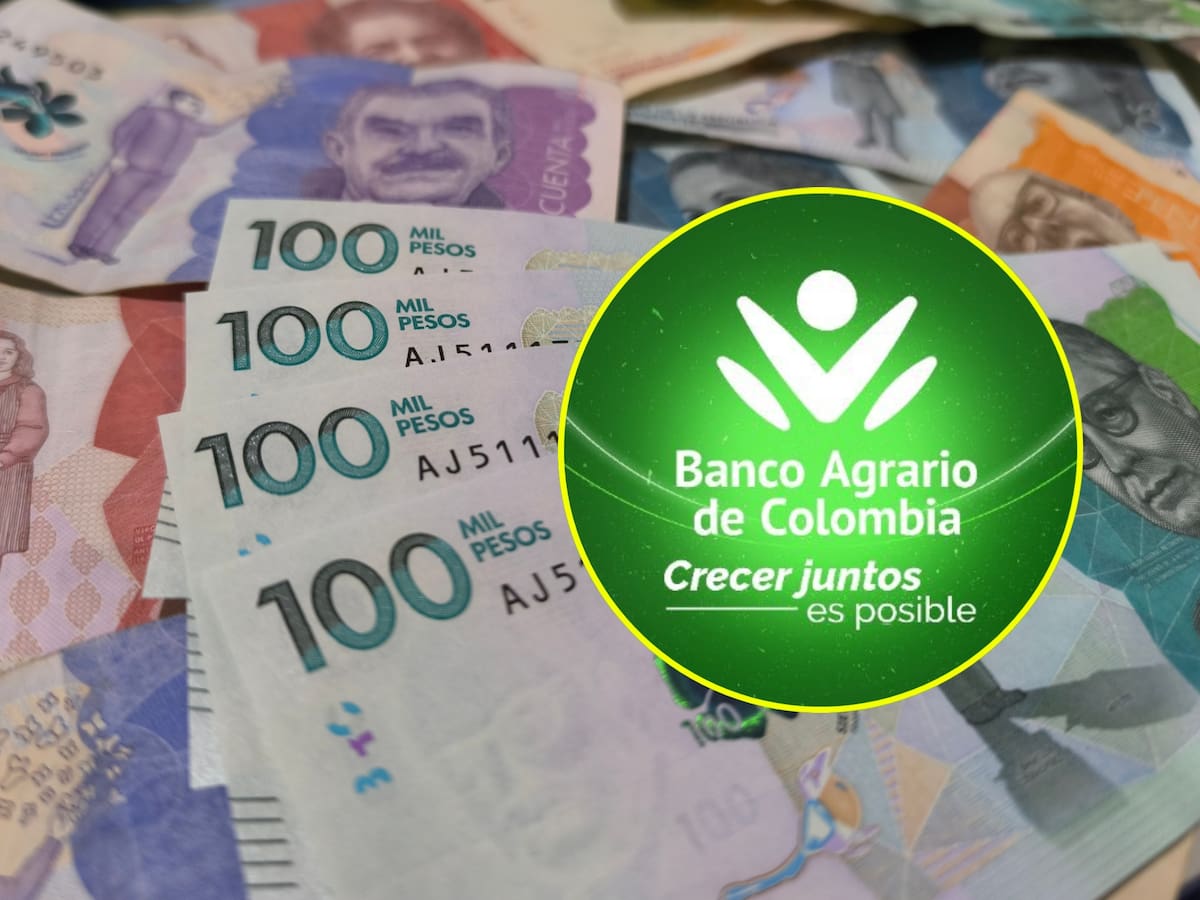 Cantidad máxima que presta el Banco Agrario por primera vez: Depende tipo de crédito, le explicamos