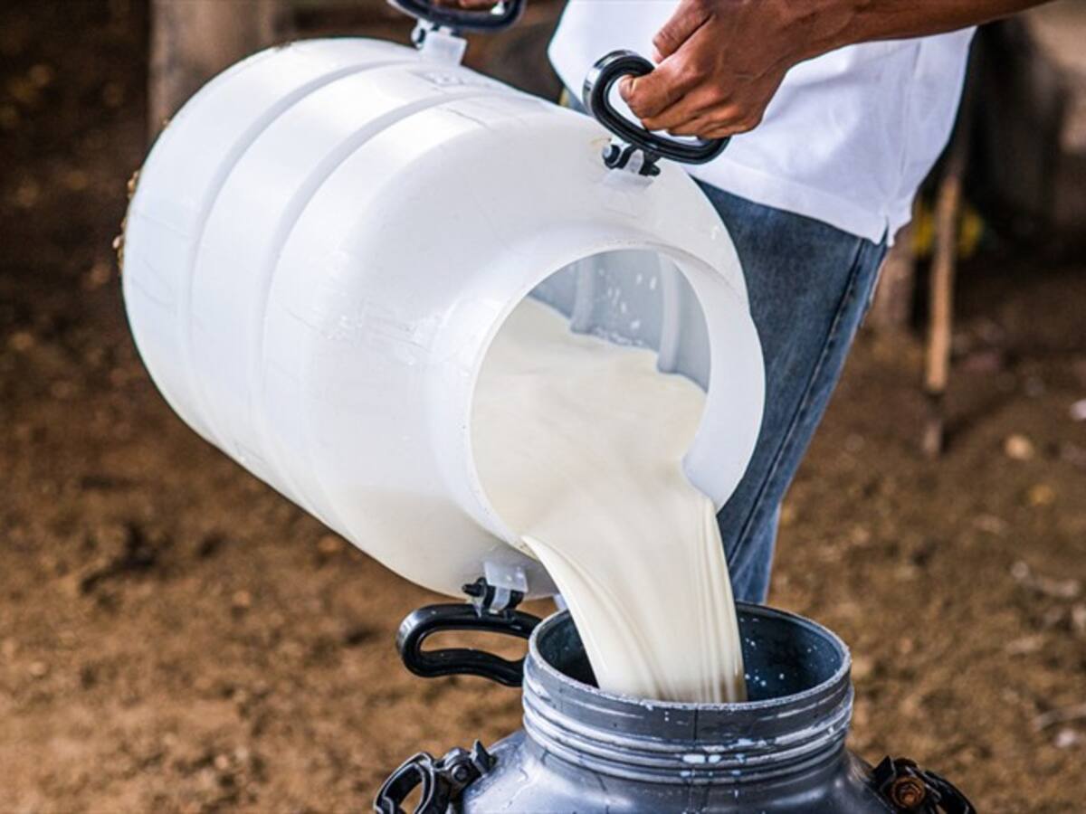 Preocupación en el sector lechero por pérdidas de dinero y producción